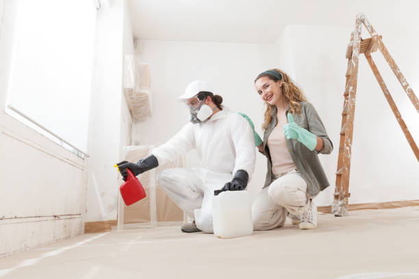 Trusted Lebanon South, PA Mold Removal Experts